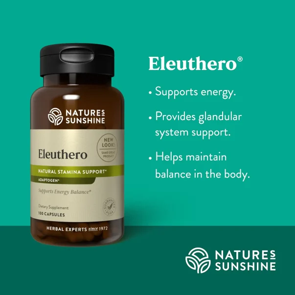 Eleuthero - Image 5