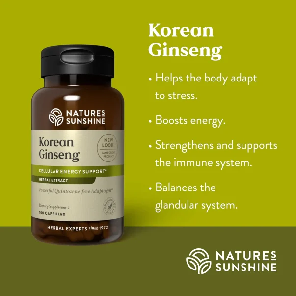 Ginseng, Korean - Image 5
