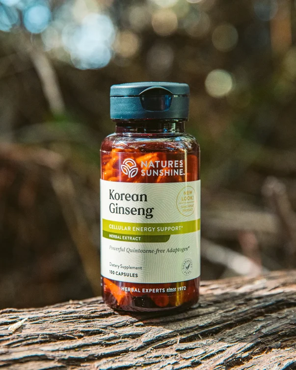 Ginseng, Korean - Image 4