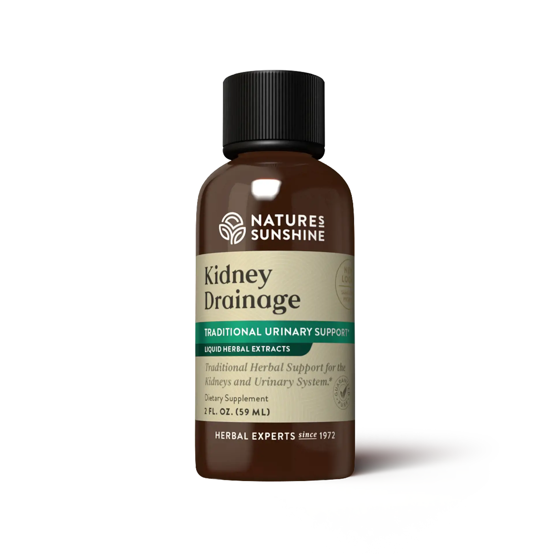 Kidney Drainage