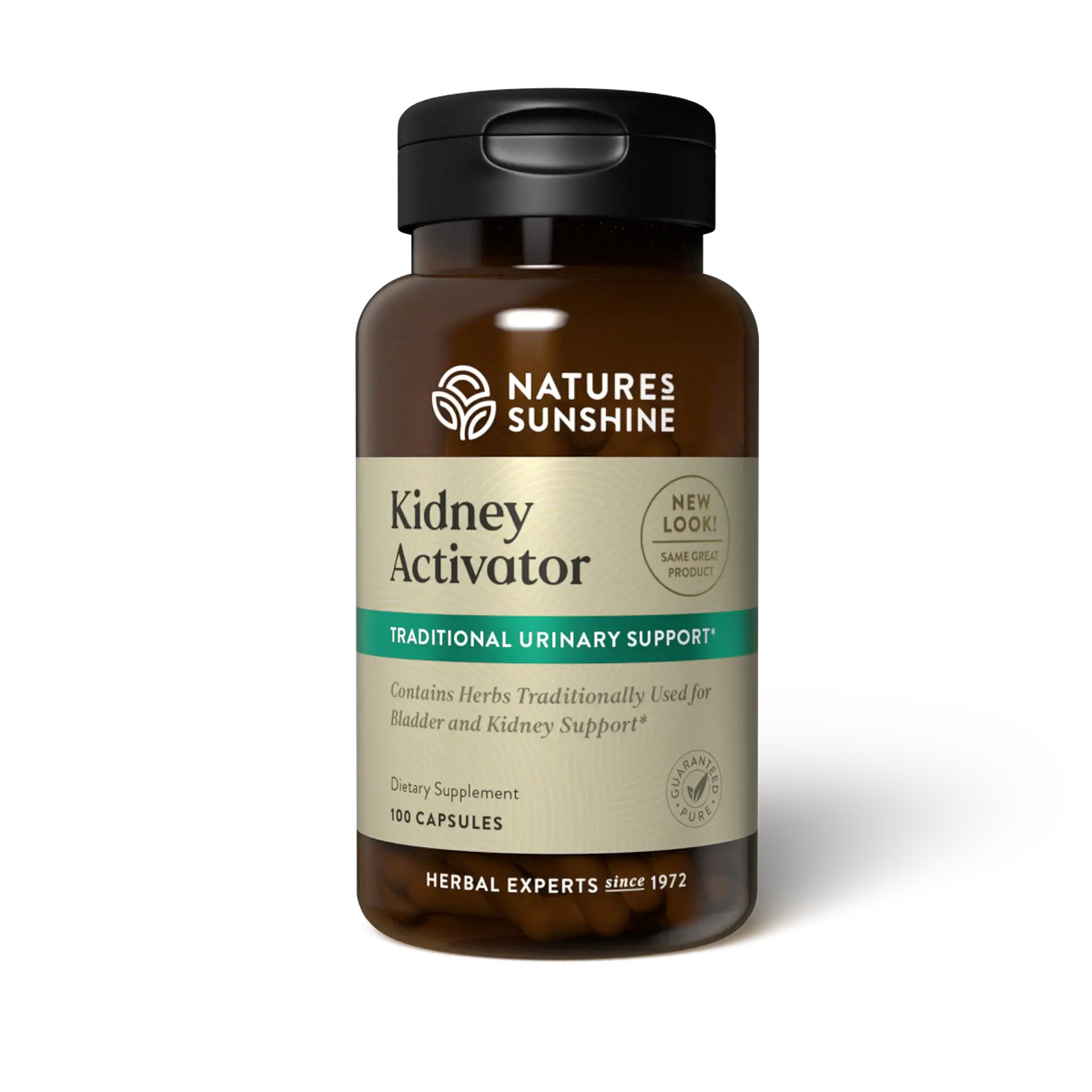 Kidney Activator Herbal Supplement bottle with natural herbs, symbolizing kidney support, urinary health, and fluid balance.